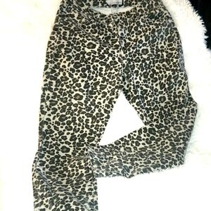 Ann Taylor Loft Printed Jeans